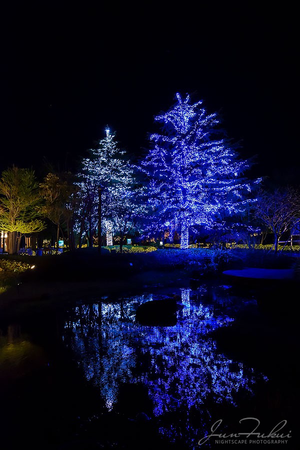 ななばの里 イルミネーション