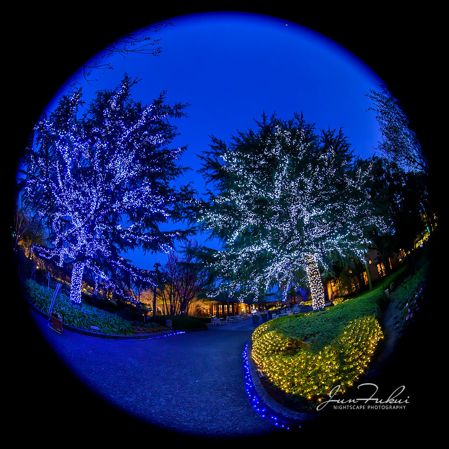 ななばの里 イルミネーション