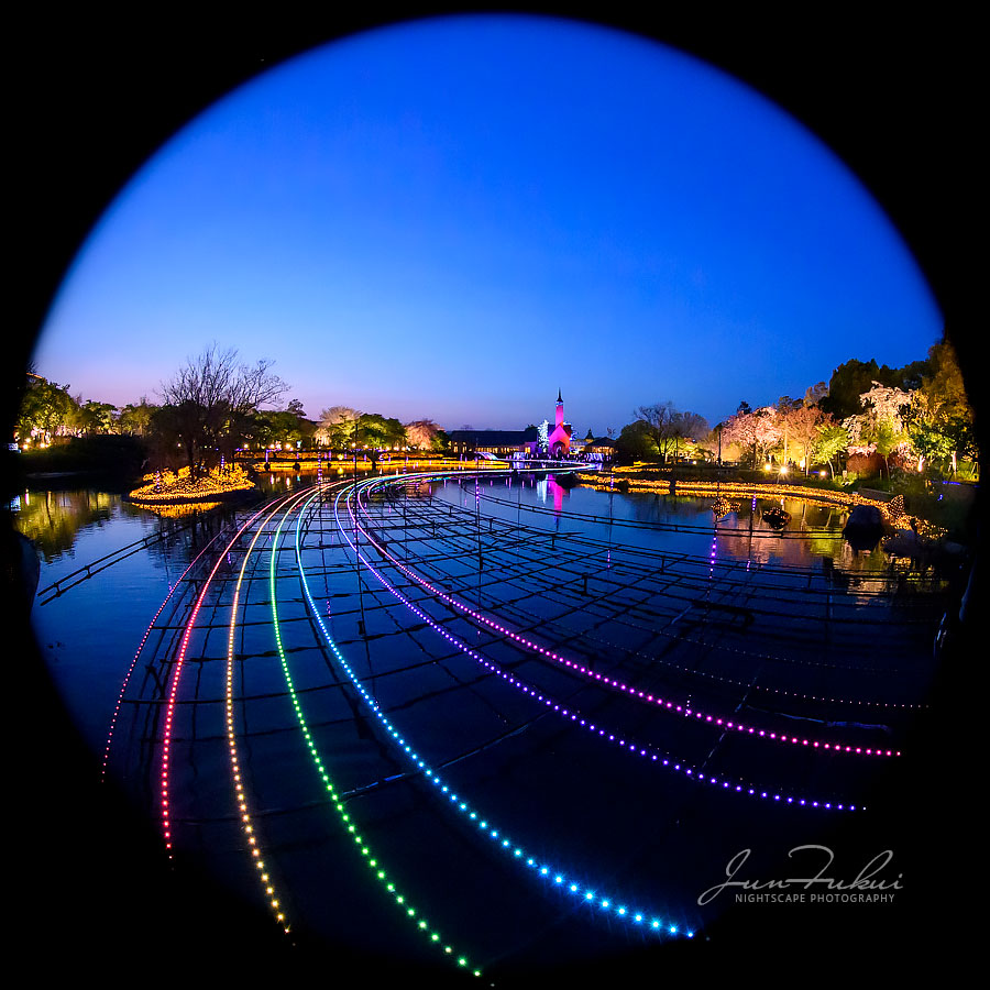 ななばの里 イルミネーション