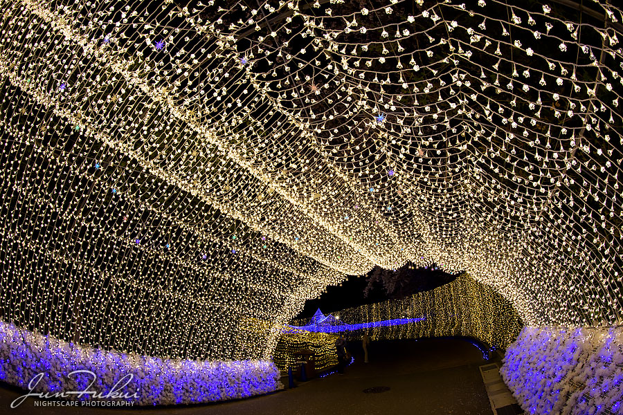 ななばの里 イルミネーション