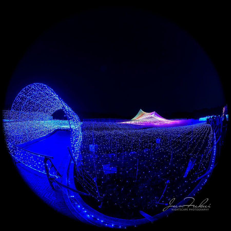 ななばの里 イルミネーション