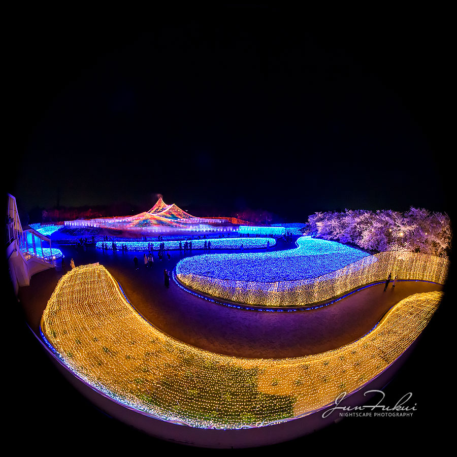 ななばの里 イルミネーション