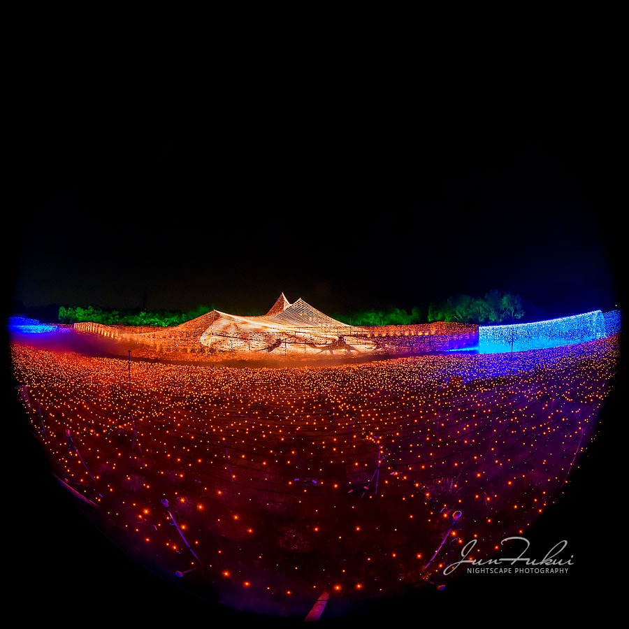 ななばの里 イルミネーション