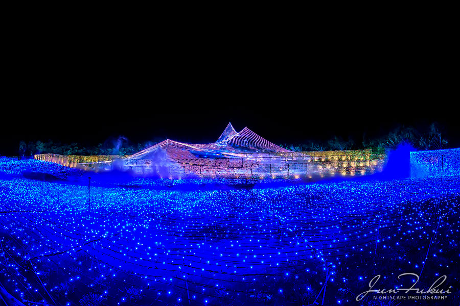 ななばの里 イルミネーション