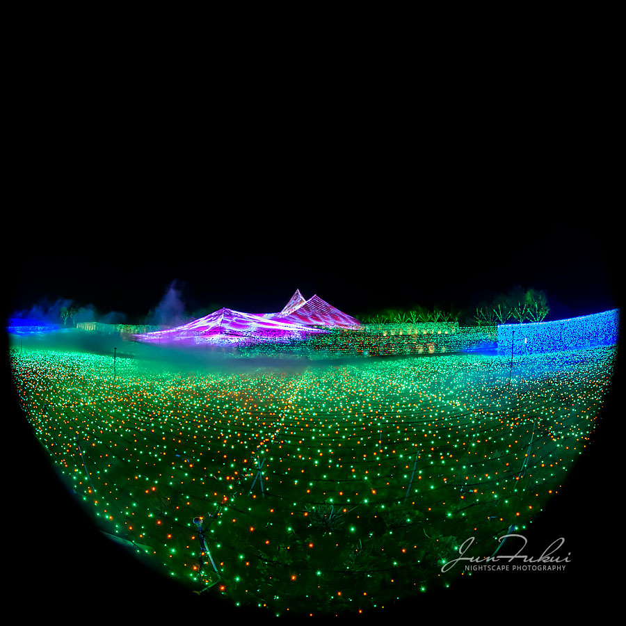 ななばの里 イルミネーション