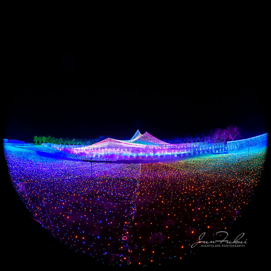 ななばの里 イルミネーション