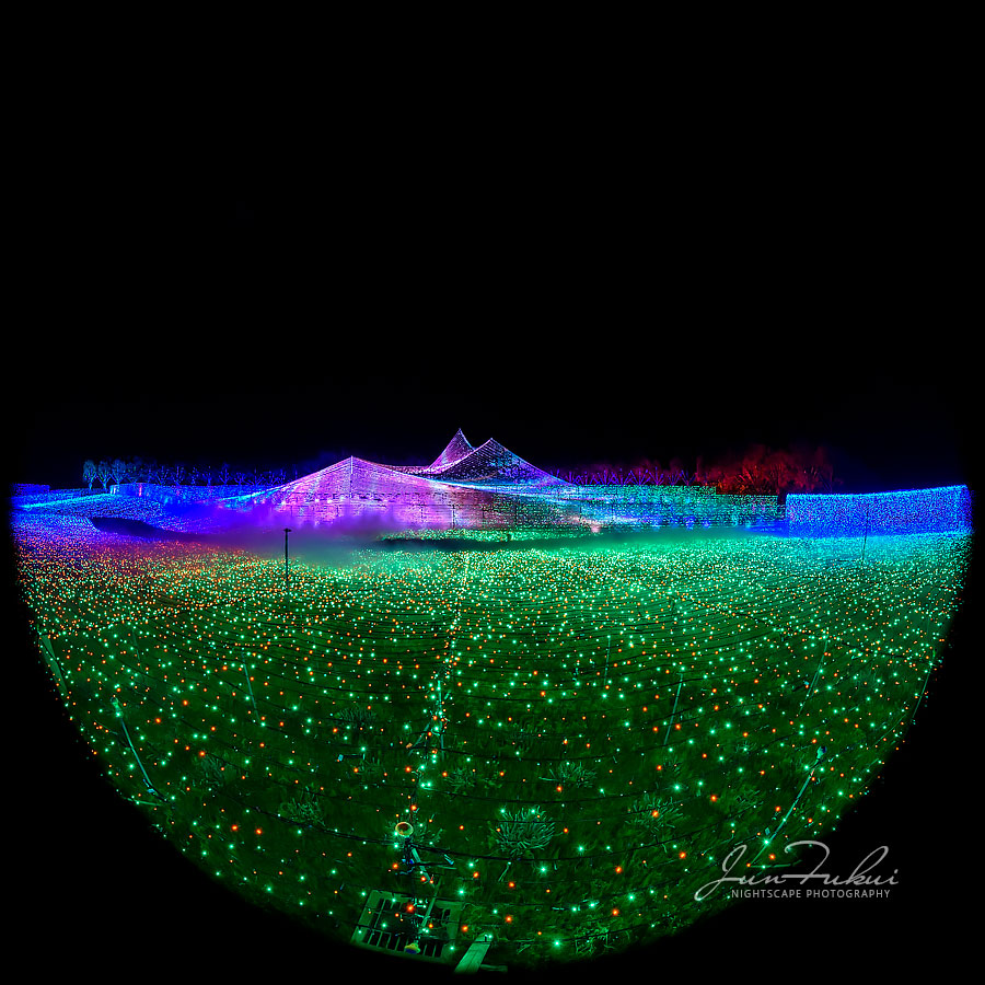 ななばの里 イルミネーション