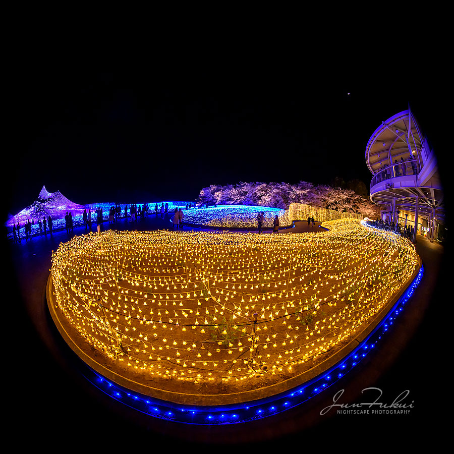 ななばの里 イルミネーション