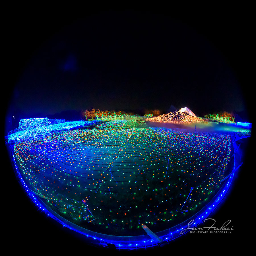 ななばの里 イルミネーション