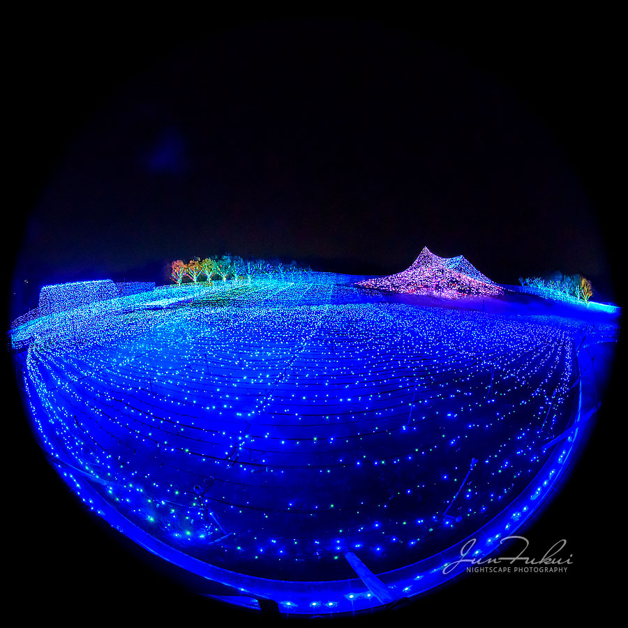 ななばの里 イルミネーション