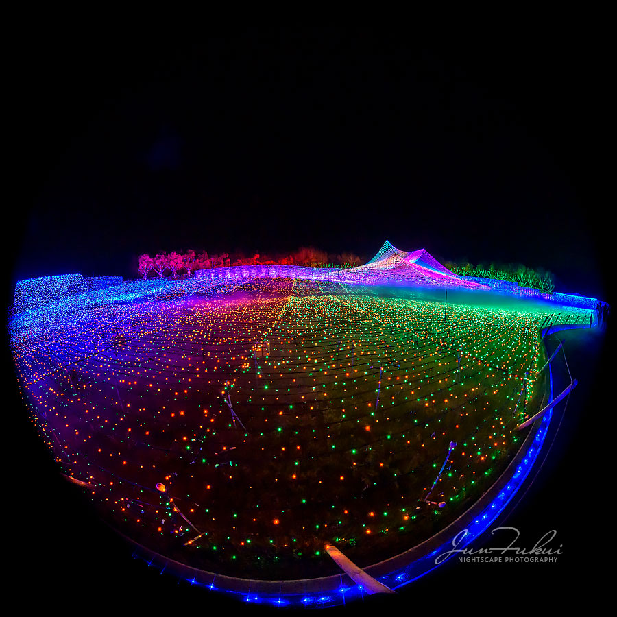 ななばの里 イルミネーション