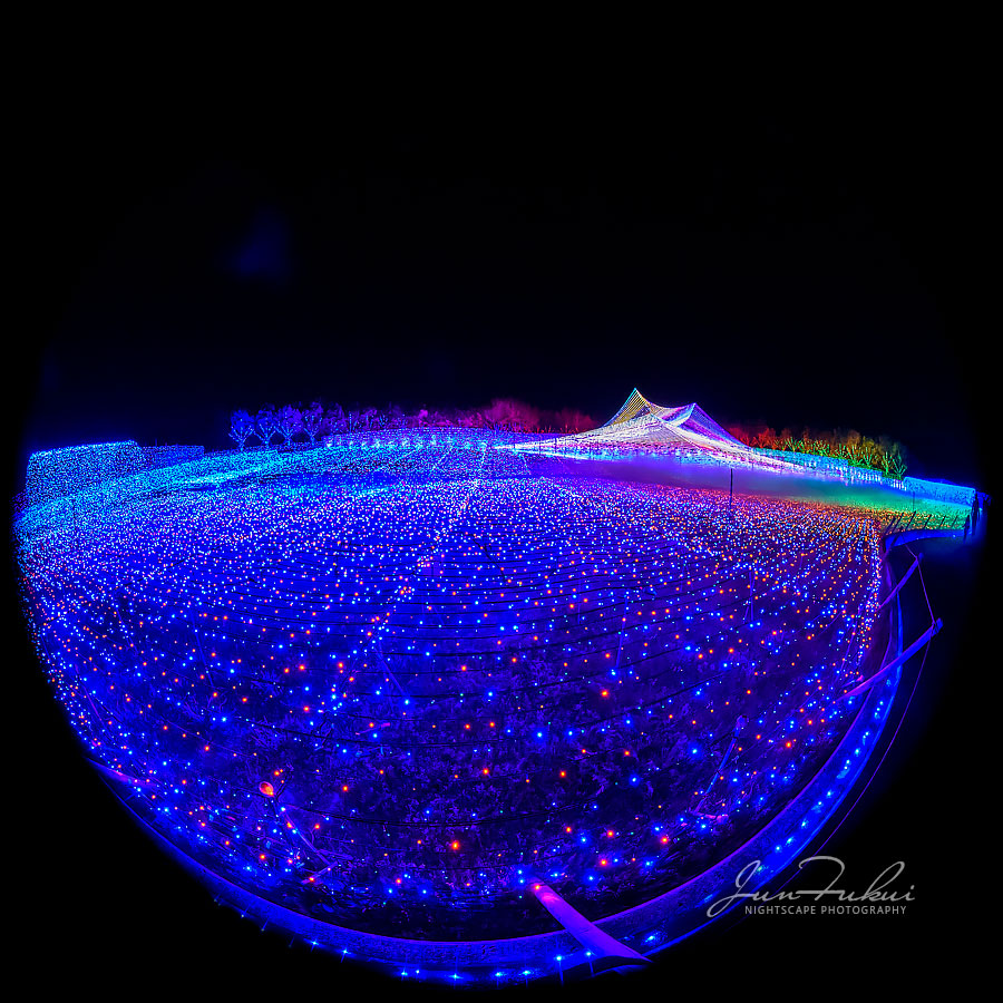 ななばの里 イルミネーション