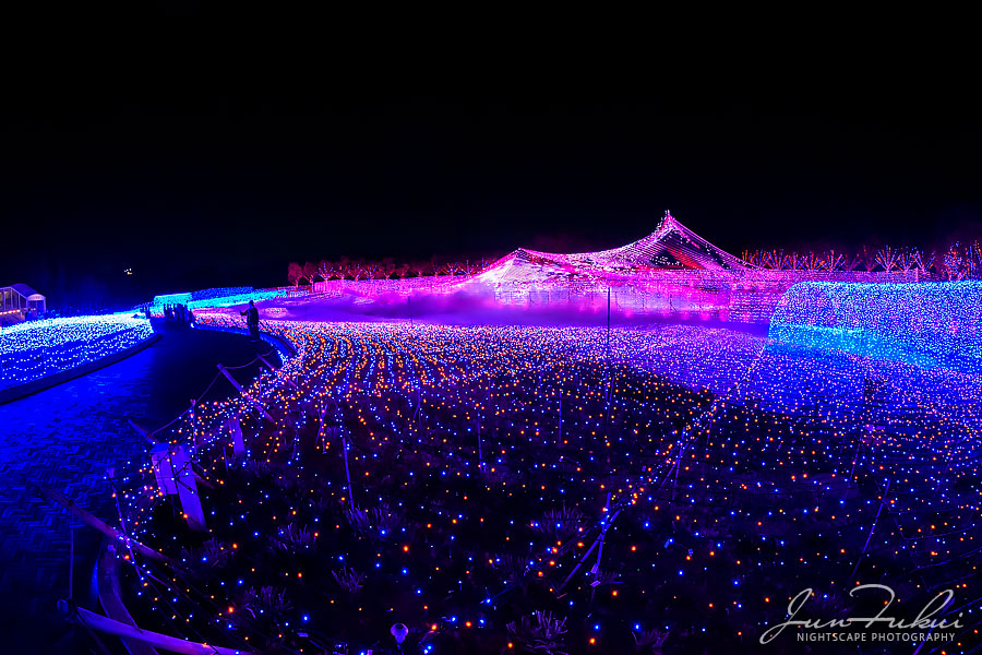 ななばの里 イルミネーション