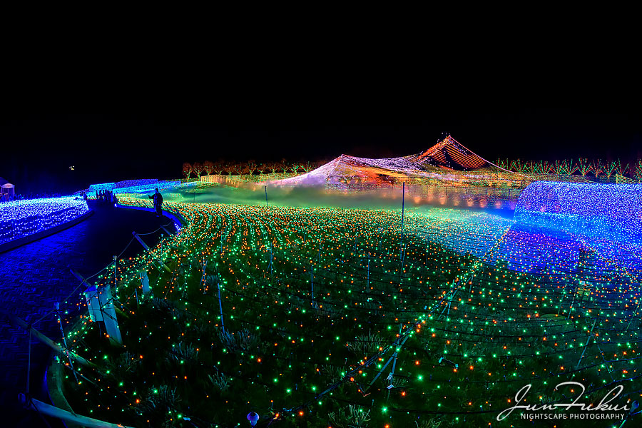 ななばの里 イルミネーション