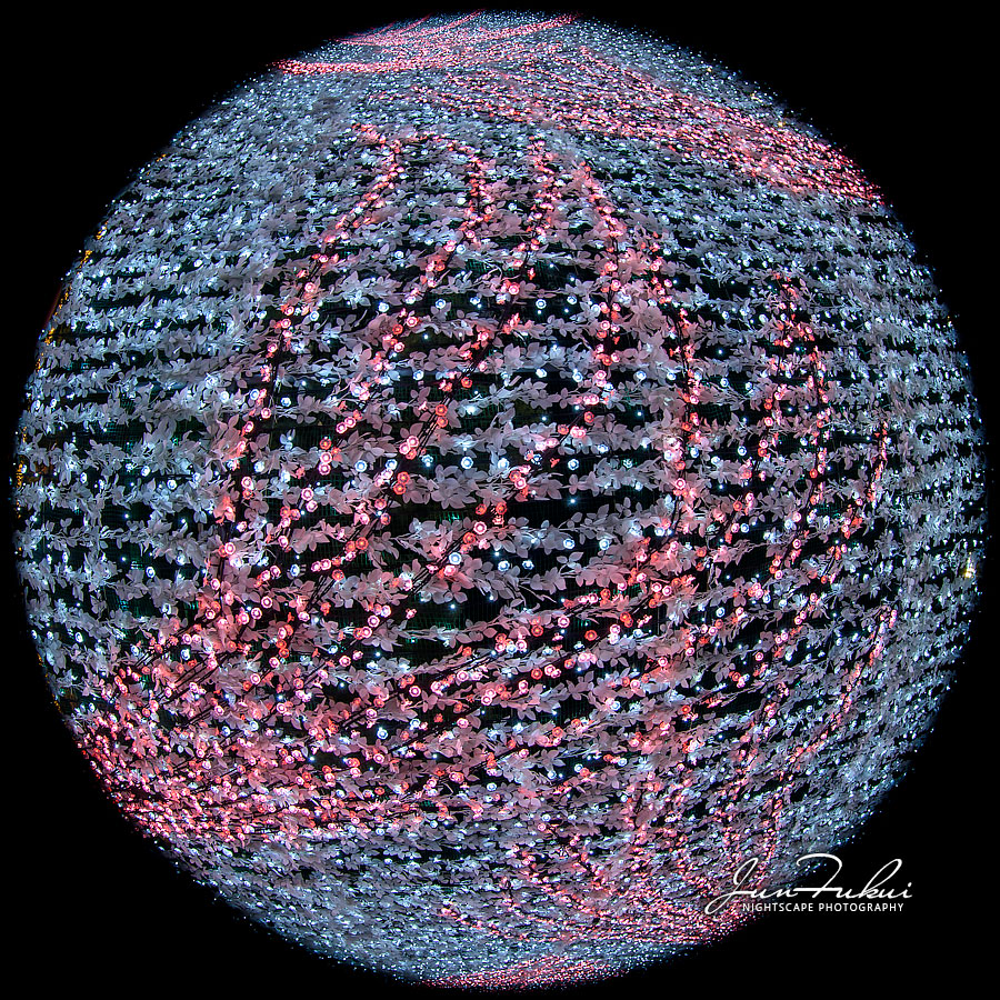 ななばの里 イルミネーション