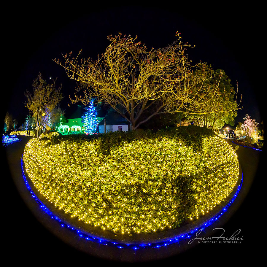 ななばの里 イルミネーション