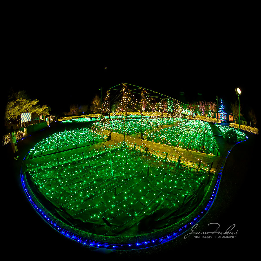 ななばの里 イルミネーション