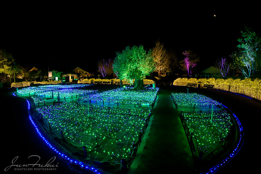 ななばの里 イルミネーション