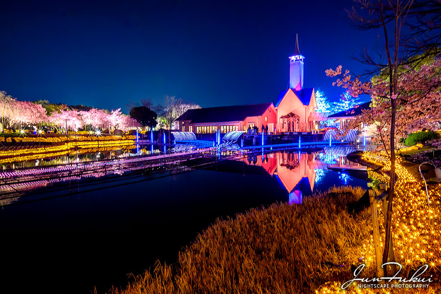 ななばの里 イルミネーション