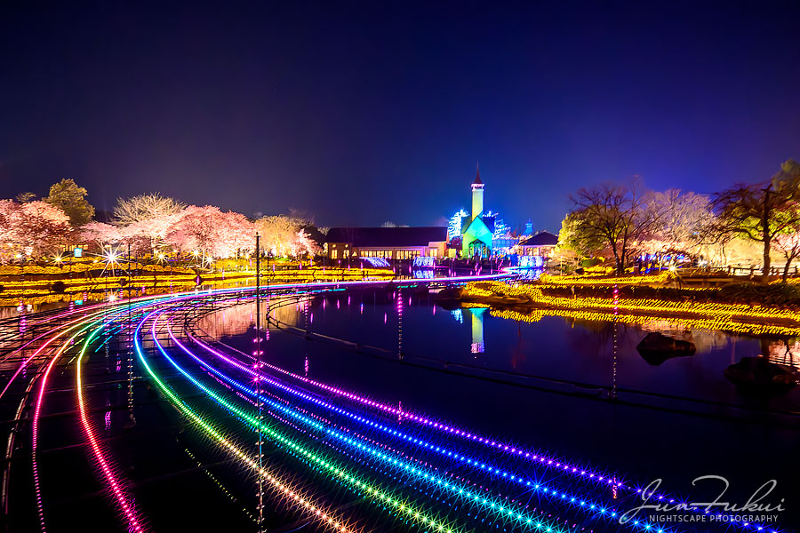 ななばの里 イルミネーション