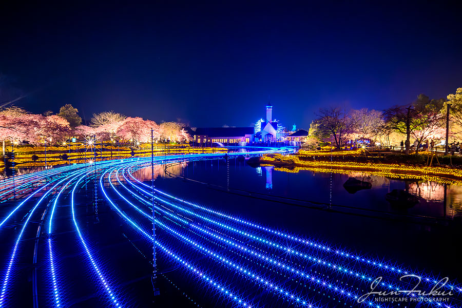 ななばの里 イルミネーション