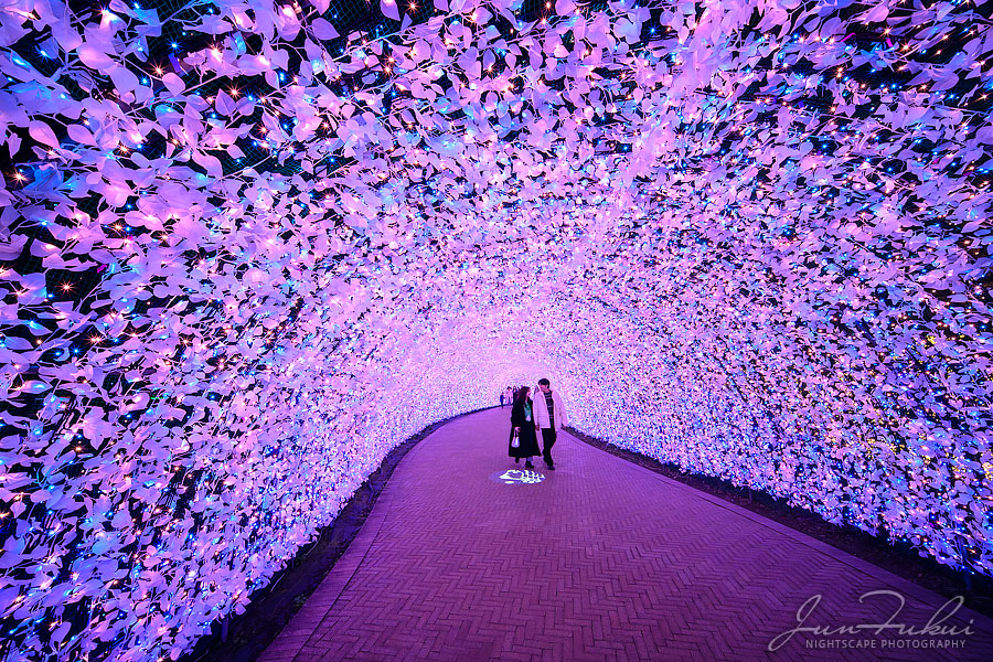 ななばの里 イルミネーション