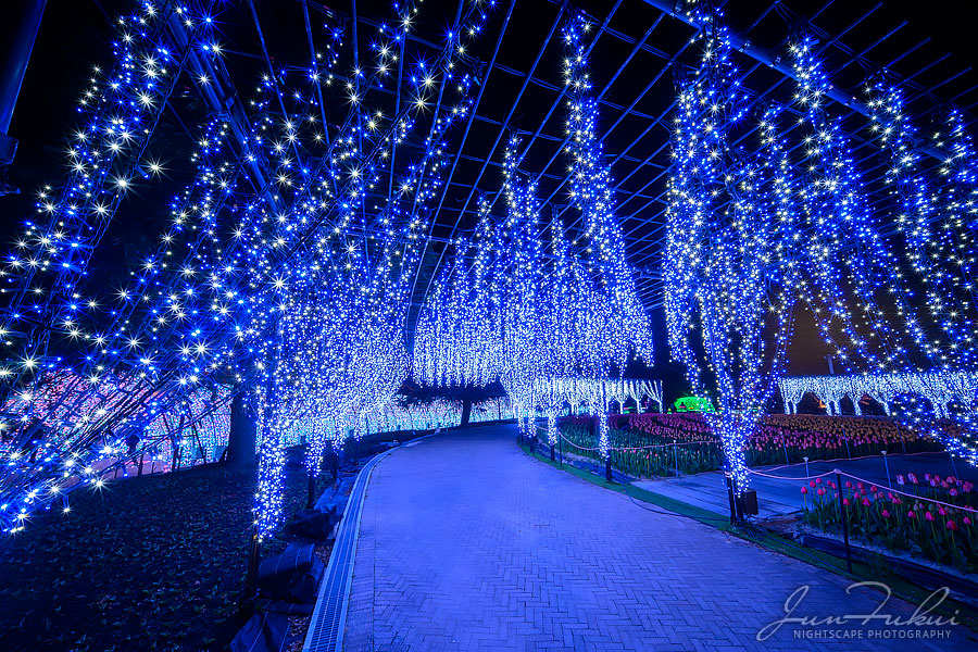 ななばの里 イルミネーション