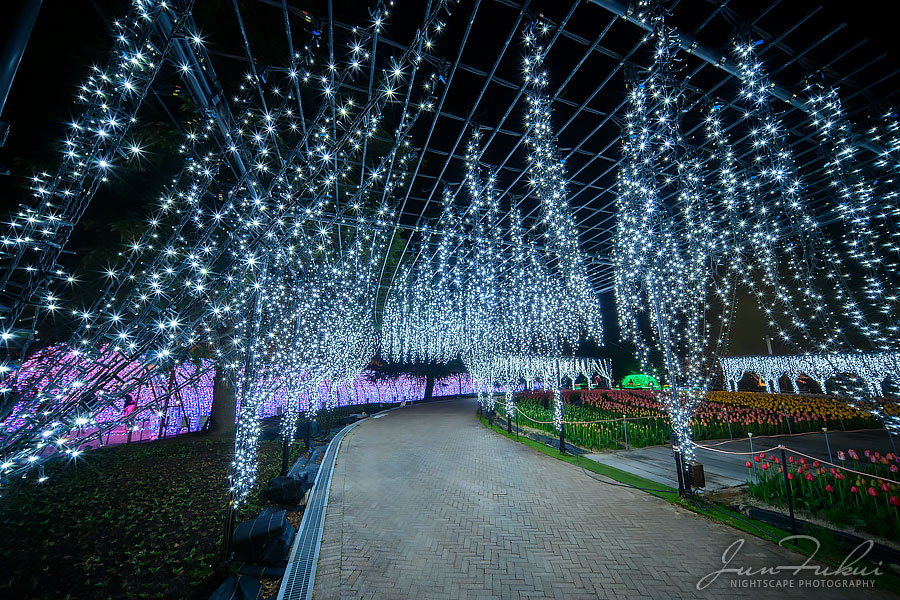 ななばの里 イルミネーション