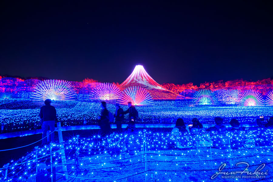 ななばの里 イルミネーション