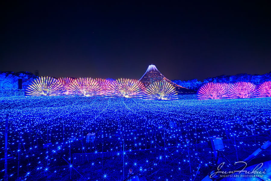 ななばの里 イルミネーション