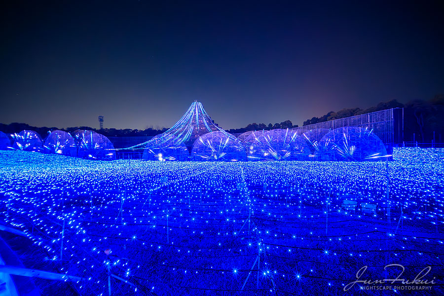 ななばの里 イルミネーション