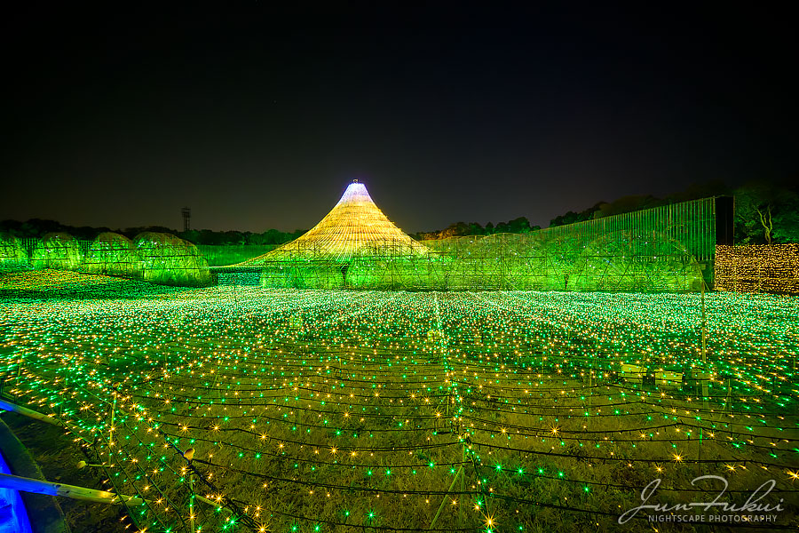 ななばの里 イルミネーション