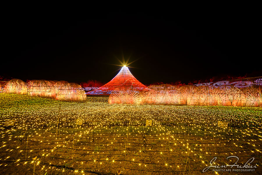 ななばの里 イルミネーション