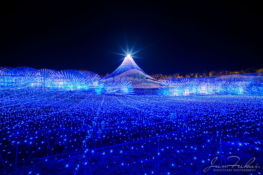 ななばの里 イルミネーション
