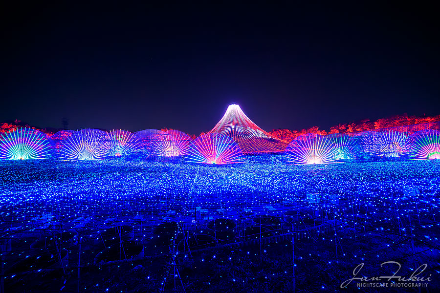 ななばの里 イルミネーション