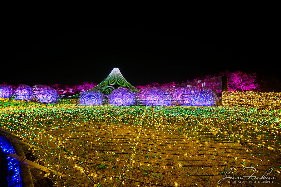 ななばの里 イルミネーション