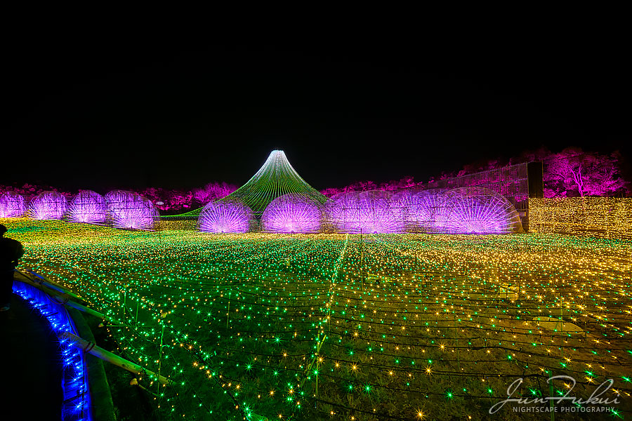 ななばの里 イルミネーション