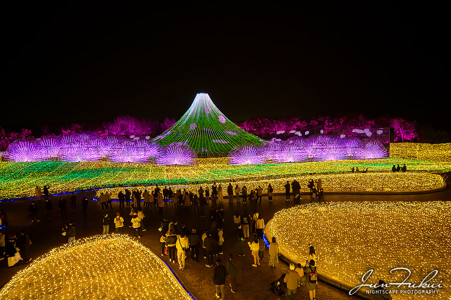 ななばの里 イルミネーション