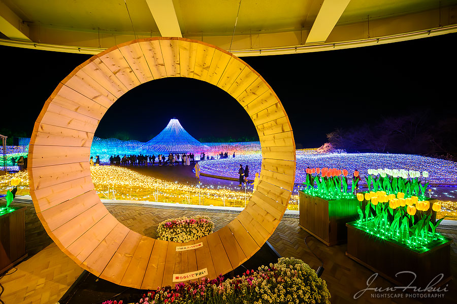 ななばの里 イルミネーション