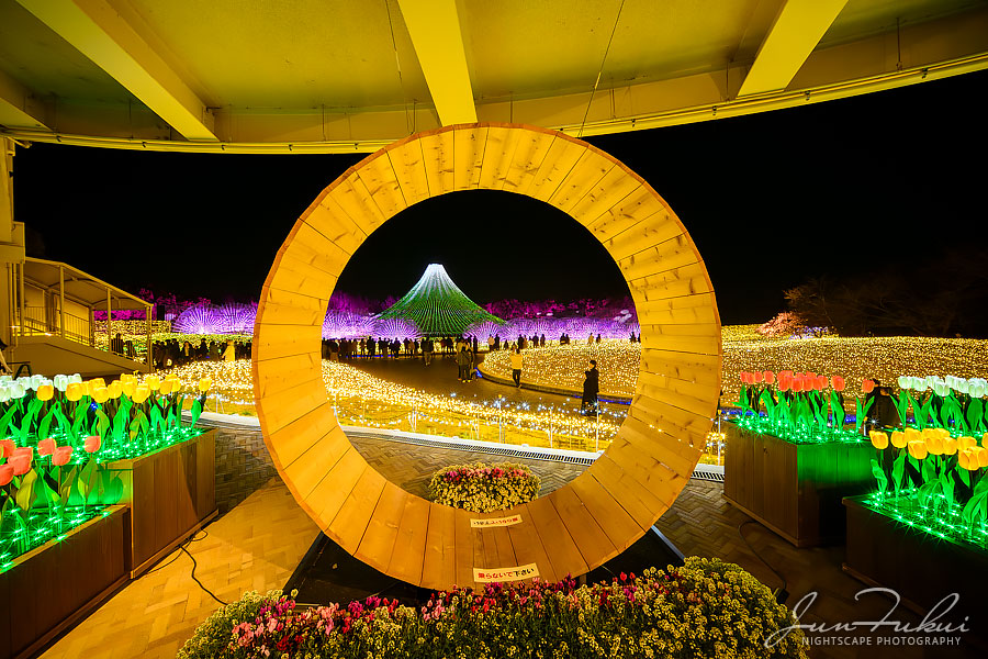 ななばの里 イルミネーション