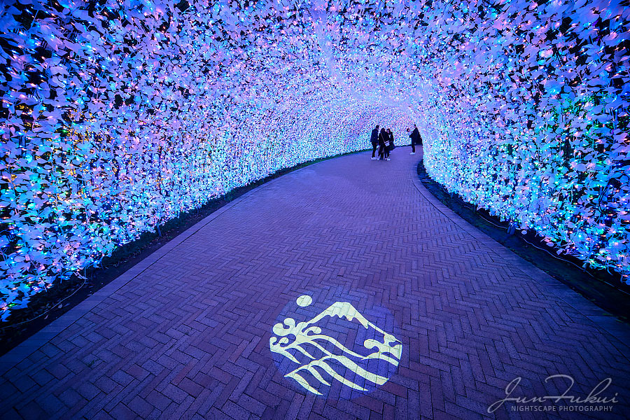 ななばの里 イルミネーション