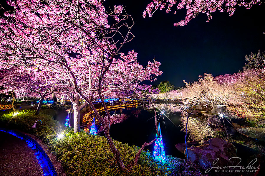 ななばの里 イルミネーション