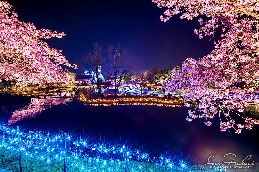 ななばの里 イルミネーション