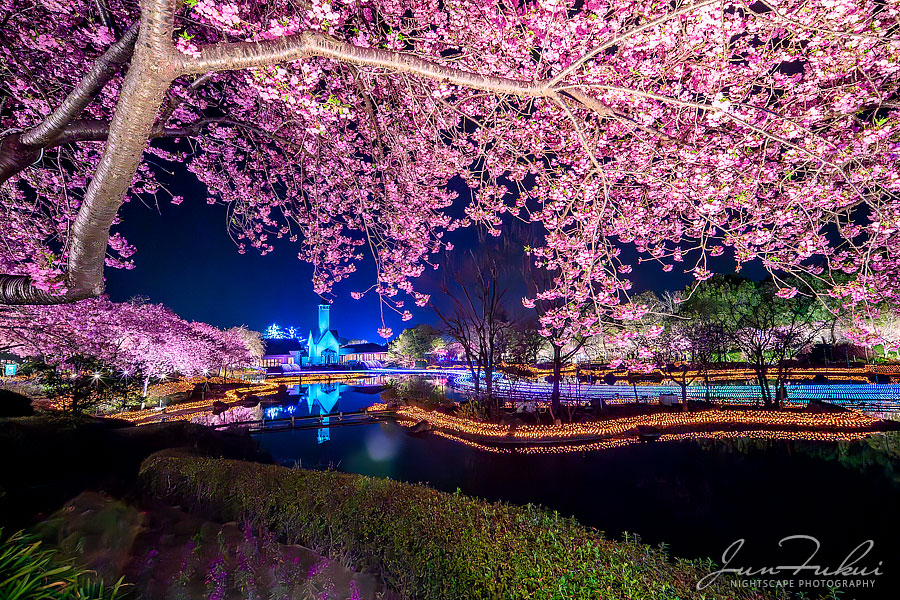 ななばの里 イルミネーション