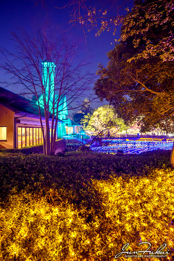 ななばの里 イルミネーション