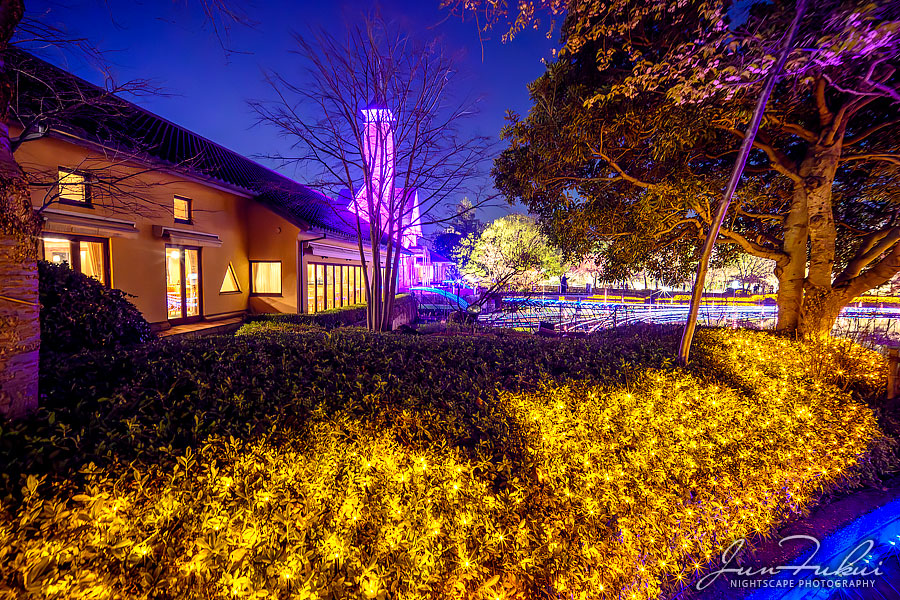 ななばの里 イルミネーション