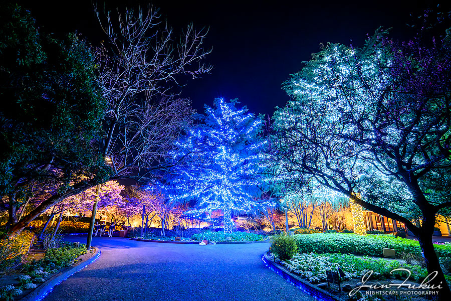 ななばの里 イルミネーション