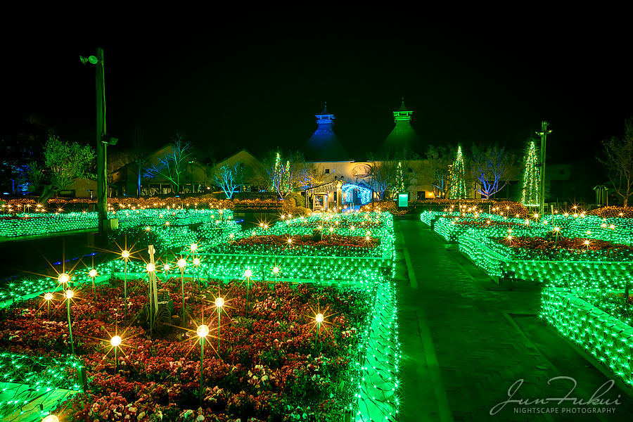ななばの里 イルミネーション
