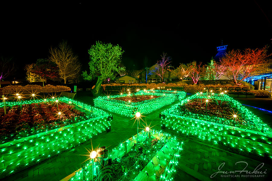 ななばの里 イルミネーション