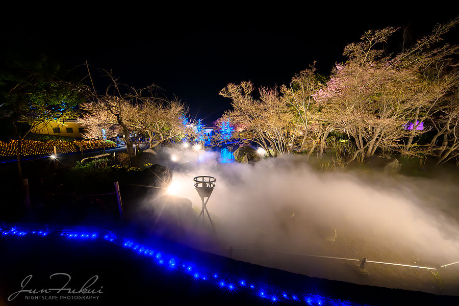 ななばの里 イルミネーション